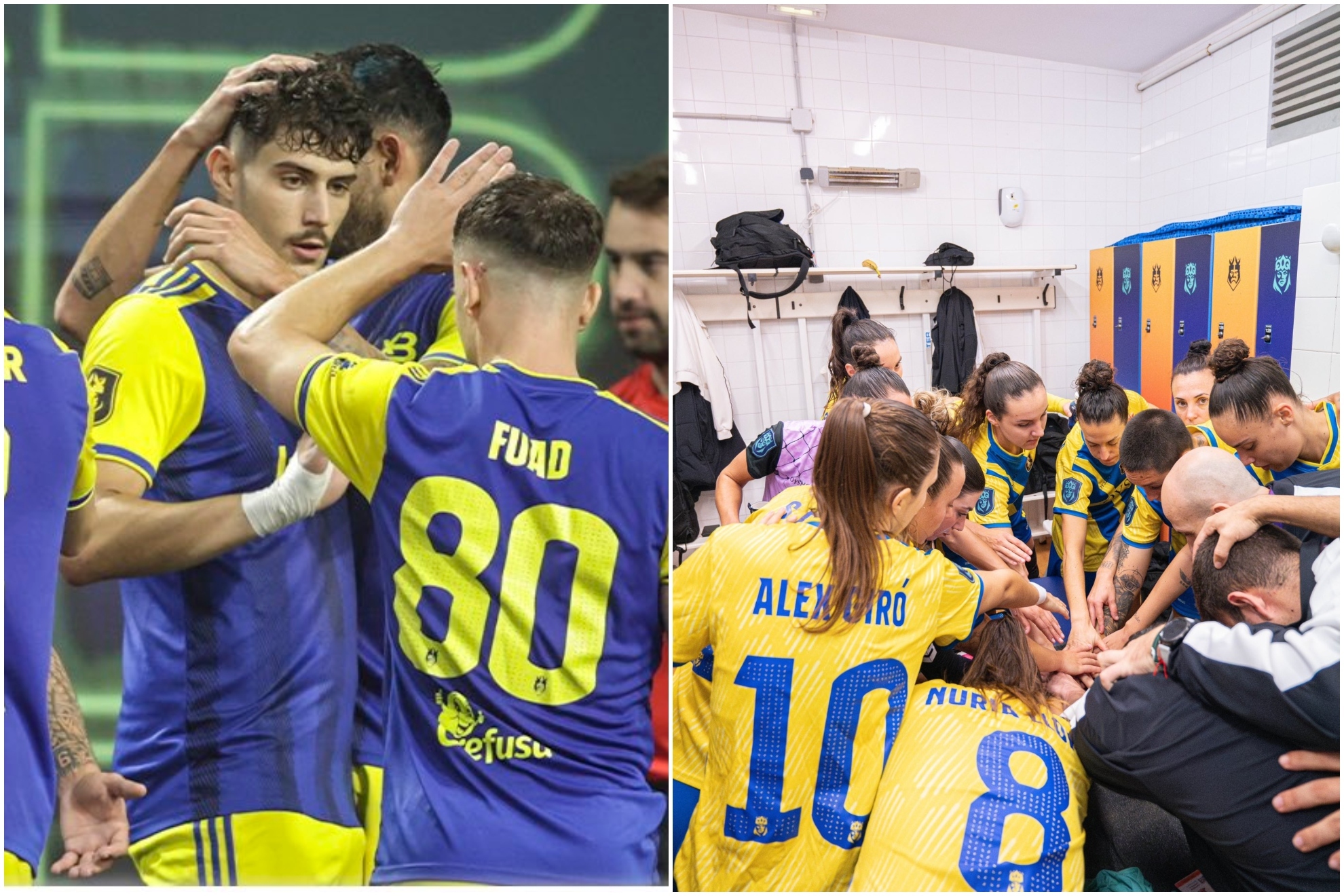 响了许多体 响了许多体