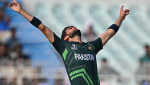 对于培养其 对于培养其