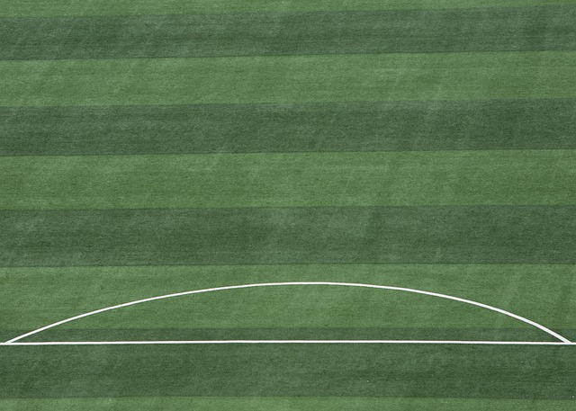 无所适从 无所适从