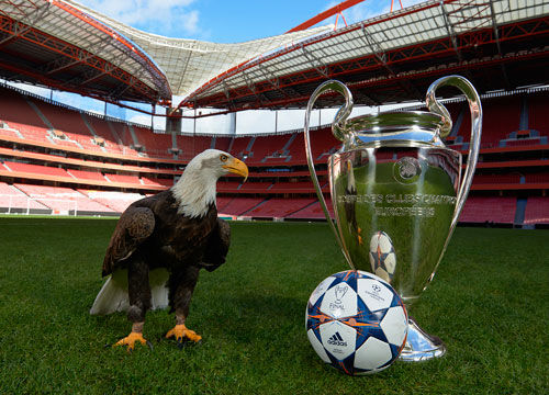 再次成为焦 再次成为焦