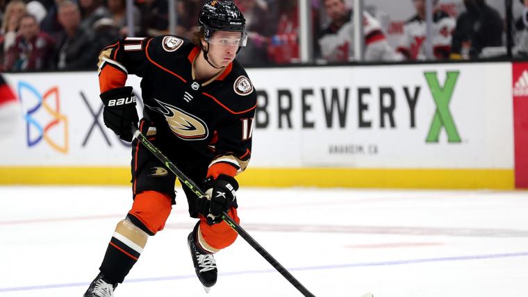 赢得了多次 赢得了多次