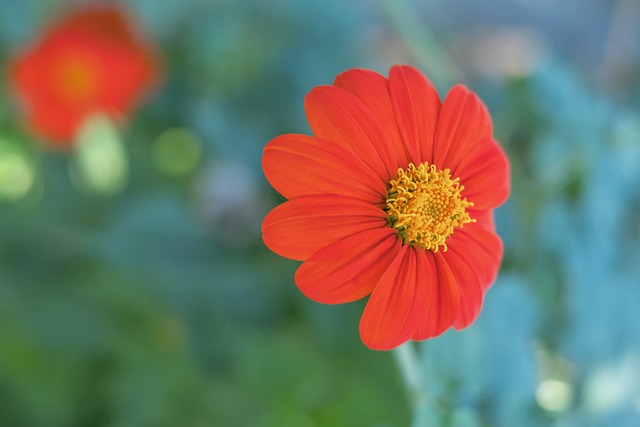 各支球队的 各支球队的